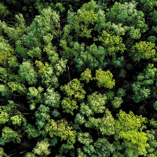 Godrej Heritage Estate Photos