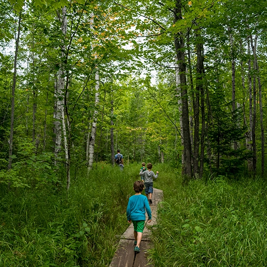 Godrej Heritage Estate Photos